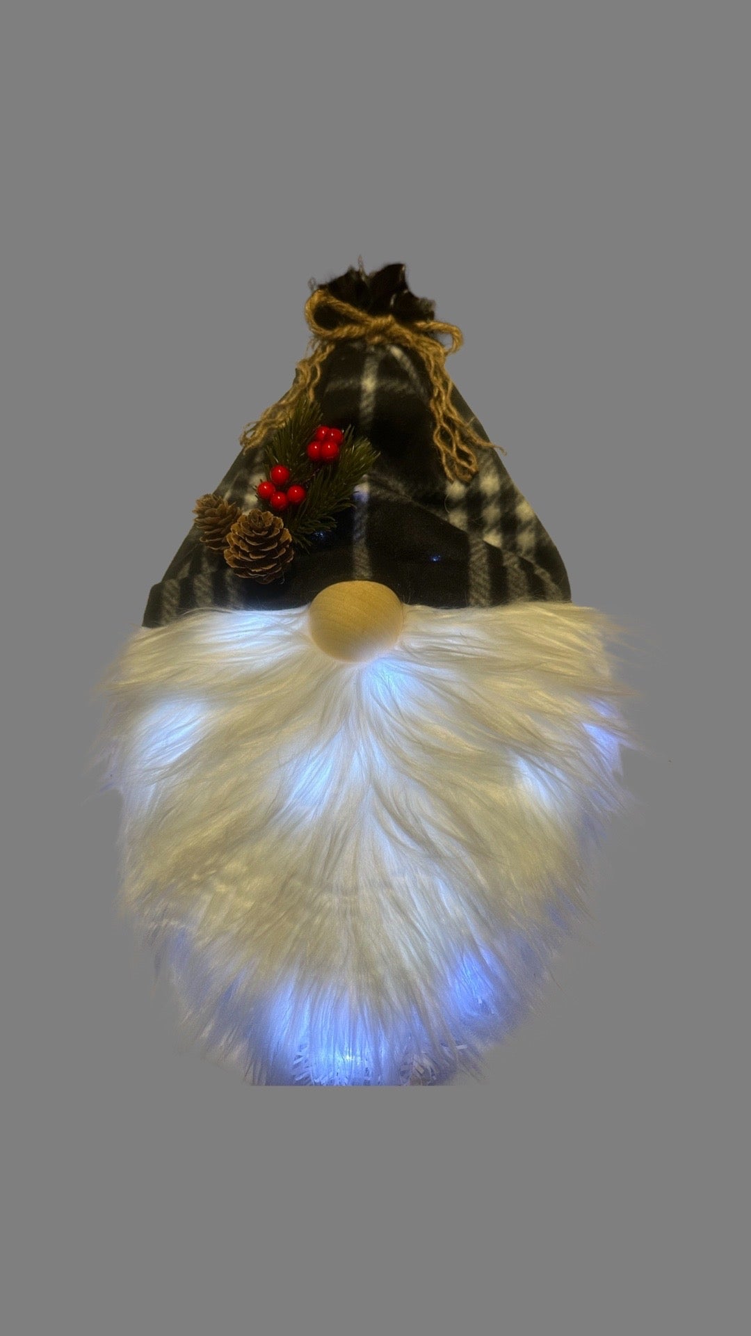 Lighted Gnome Door Hangings