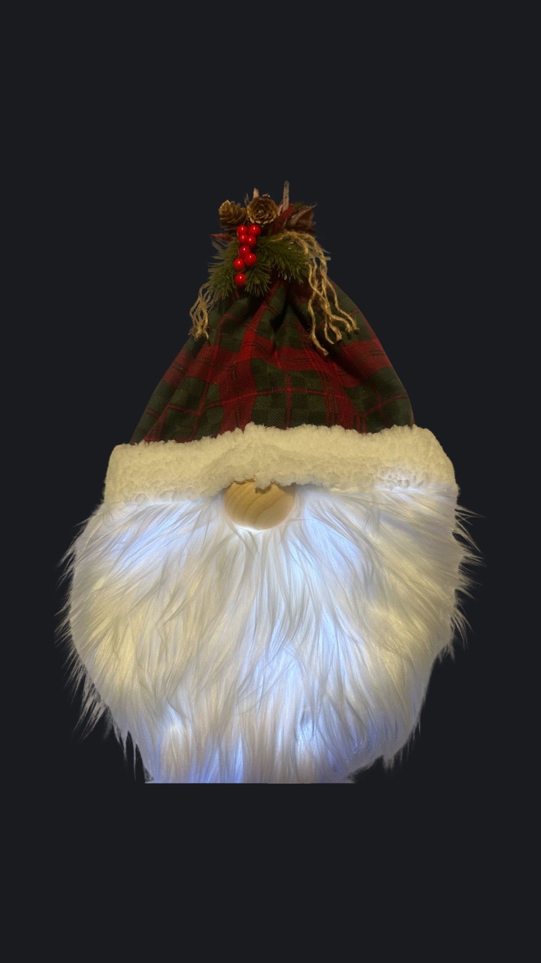 Lighted Gnome Door Hangings