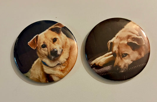 Custom Photo Magnets